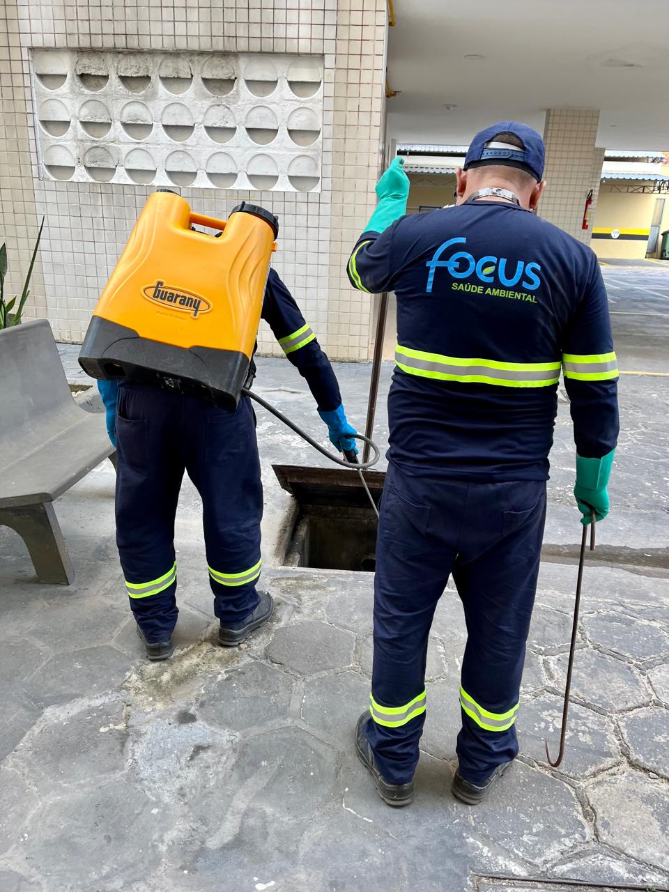 Serviço Focus